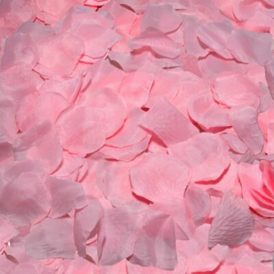 DIABLO PICANTE – 100 PETALI ROSA