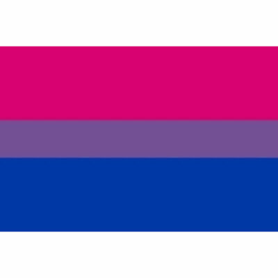 PRIDE – BRACCIALE BISESSUALE CON BANDIERA 90 X 156